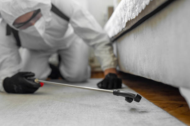 Professional Termite Control technician working in Oakville, CT