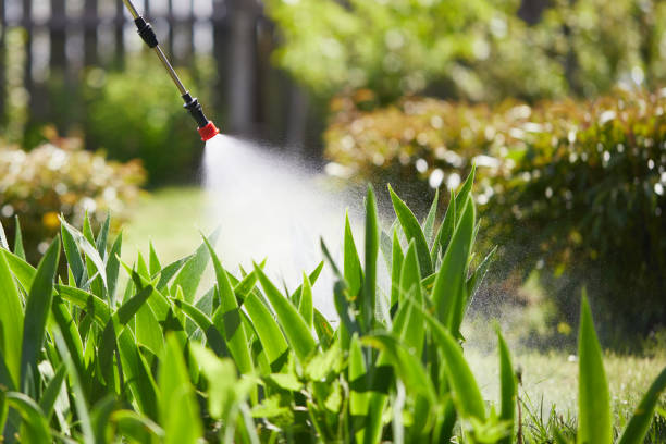 24/7 Emergency Termite Control experts in Oakville, CT