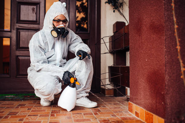 Reliable Termite Control contractor in Oakville, CT by Nex Pest Control