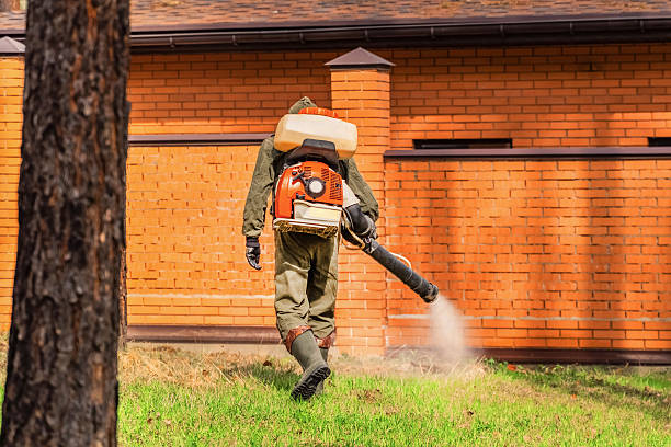 Top rated local Termite Control specialists in Oakville, CT